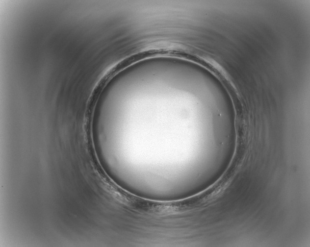 X0000067000783200604072148