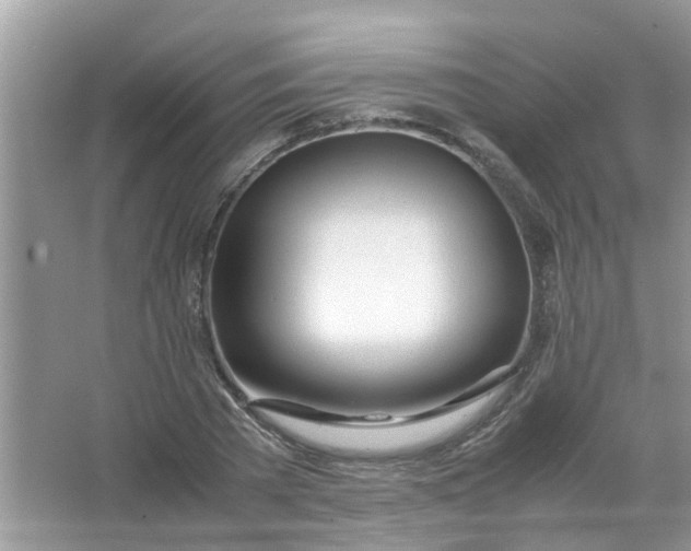 X0000067000785200604072148