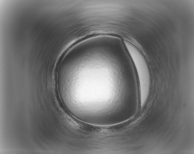 X0000067000787200604072148