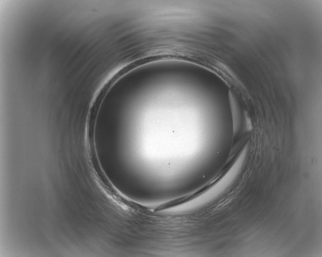 X0000067000788200604072148