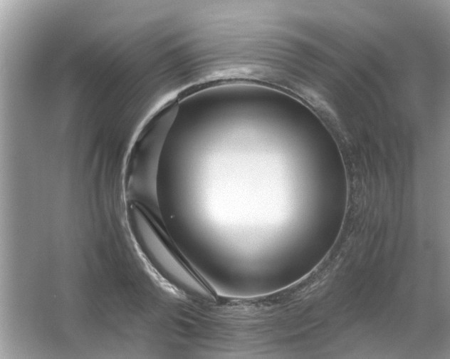 X0000067000792200604072148