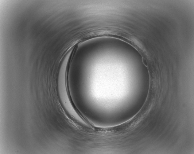 X0000067000793200604072148