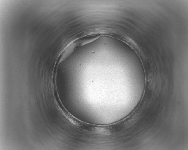 X0000067000794200604072148