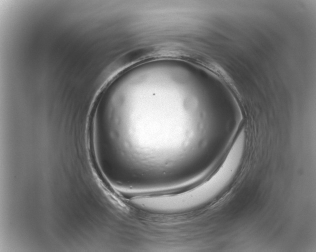 X0000067000795200604072148