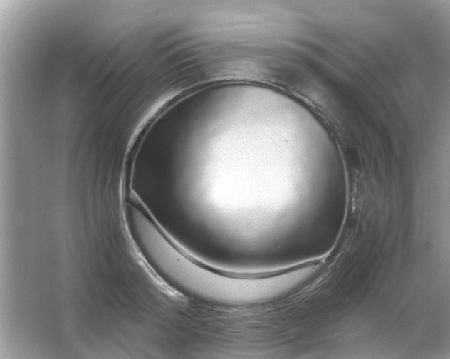 X0000067000796200604072148