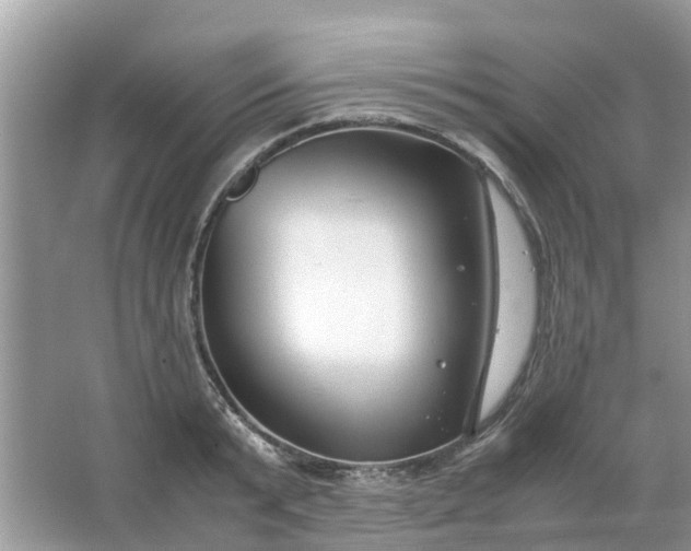 X0000067000799200604072147