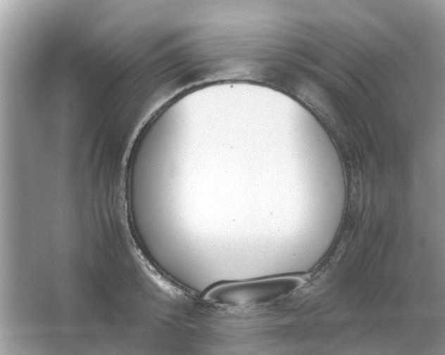 X0000067000800200604072147