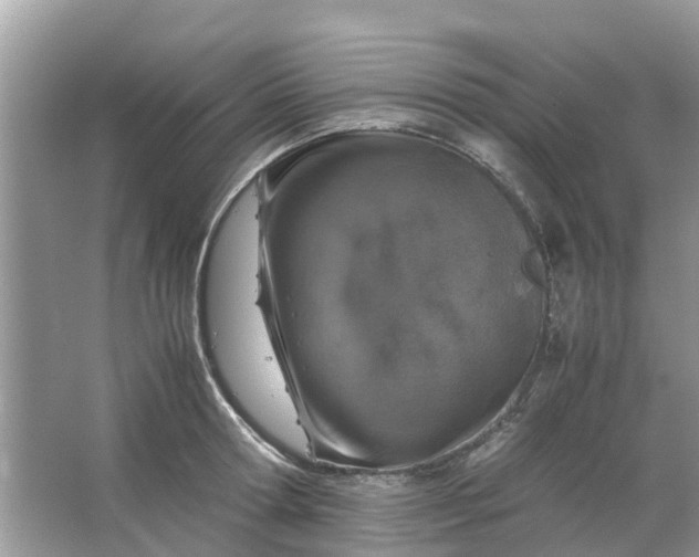 X0000067000802200604072147