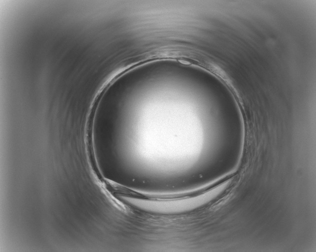 X0000067000803200604072147