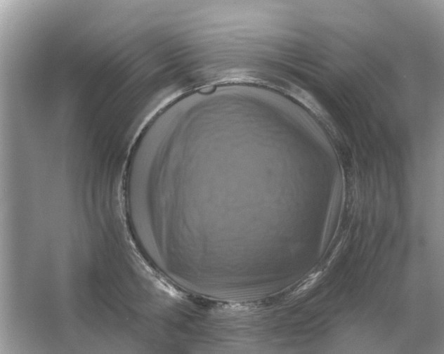 X0000067000806200604072147