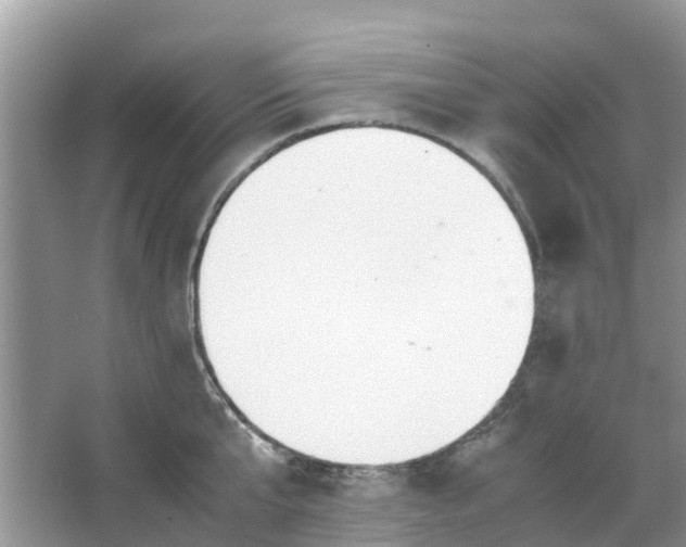 X0000067000807200604072147