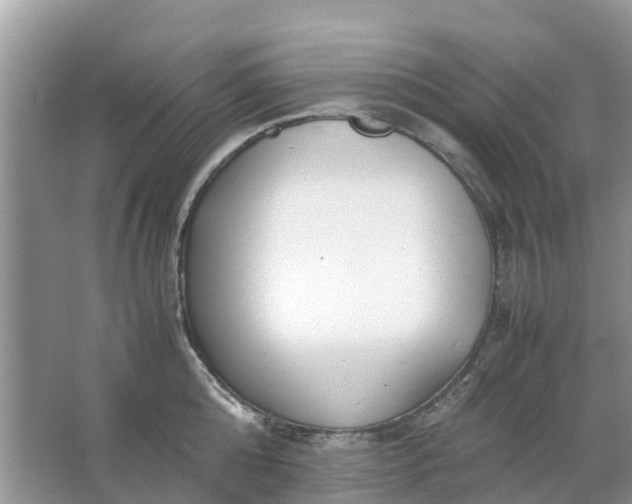 X0000067000808200604072147