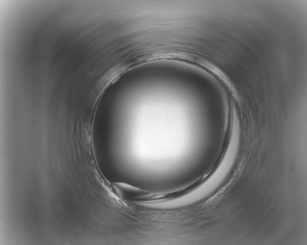 X0000067000809200604072147