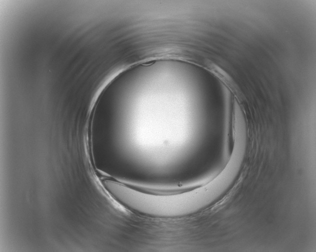 X0000067000812200604072147