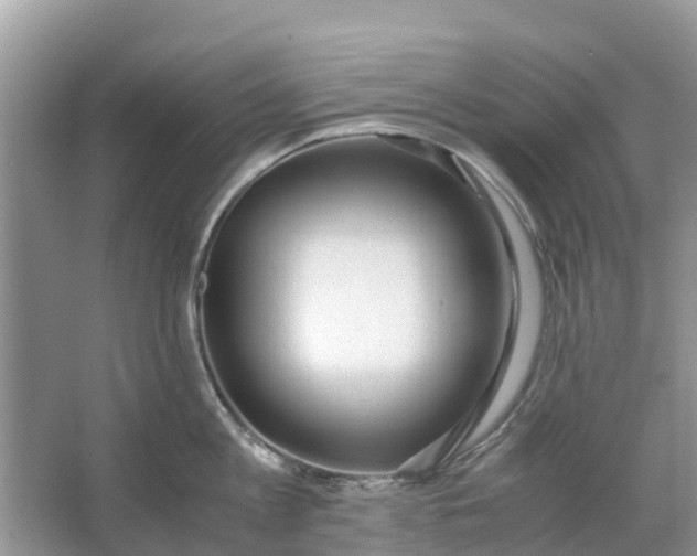 X0000067000813200604072147