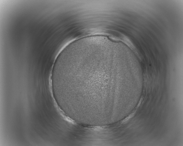 X0000067000814200604072147