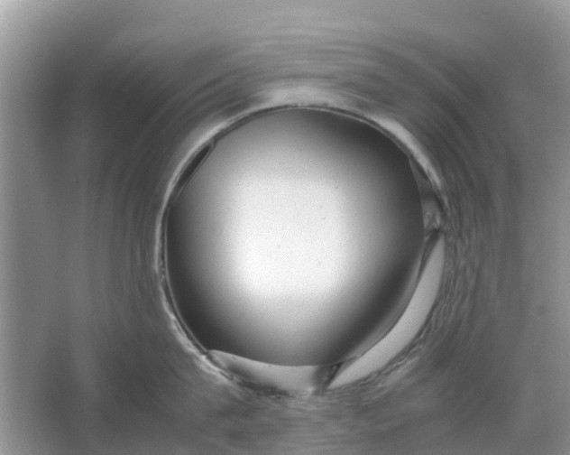 X0000067000815200604072147