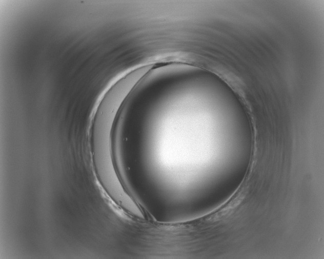 X0000067000816200604072147