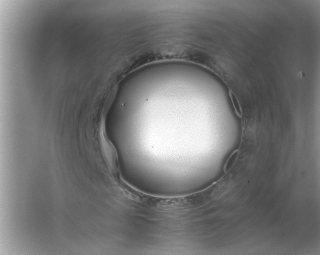 X0000067000817200604072146