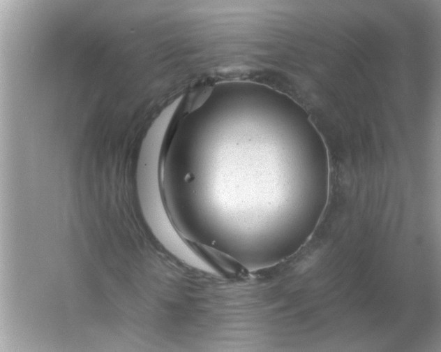 X0000067000818200604072146