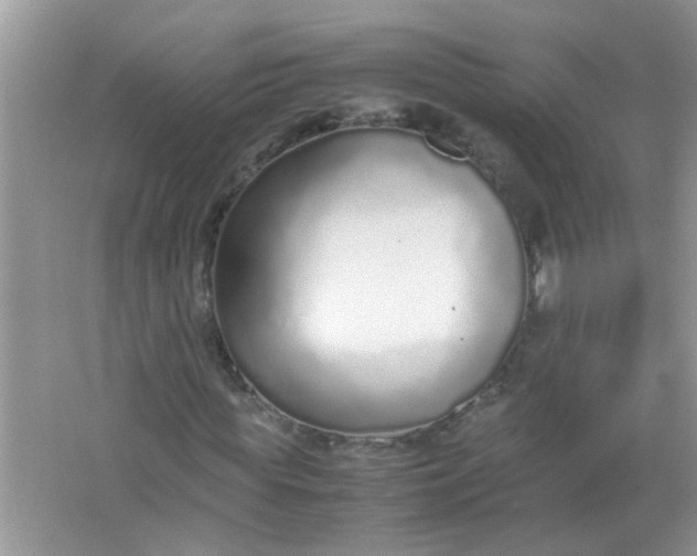 X0000067000819200604072146