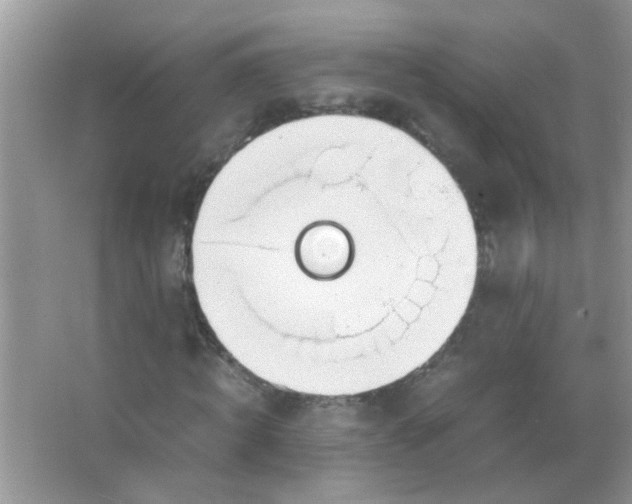 X0000067000820200604072146