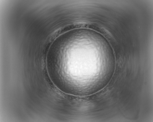 X0000067000821200604072146