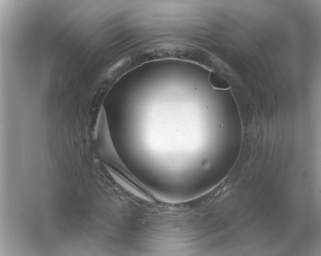 X0000067000822200604072146