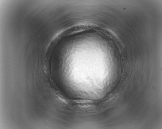 X0000067000823200604072146