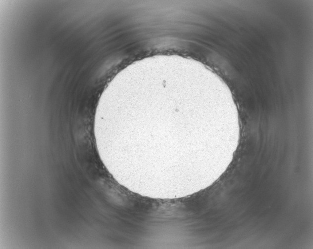 X0000067000824200604072146