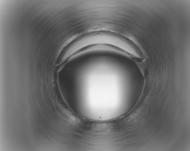 X0000067000826200604072147