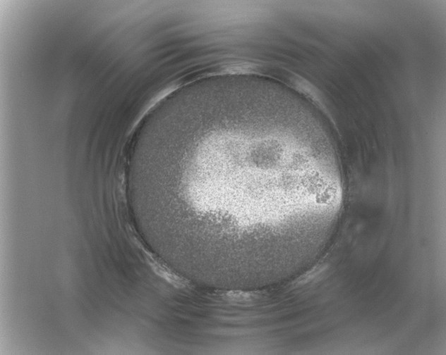 X0000067000827200604072147