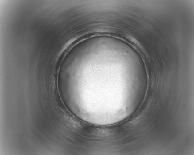 X0000067000829200604072147