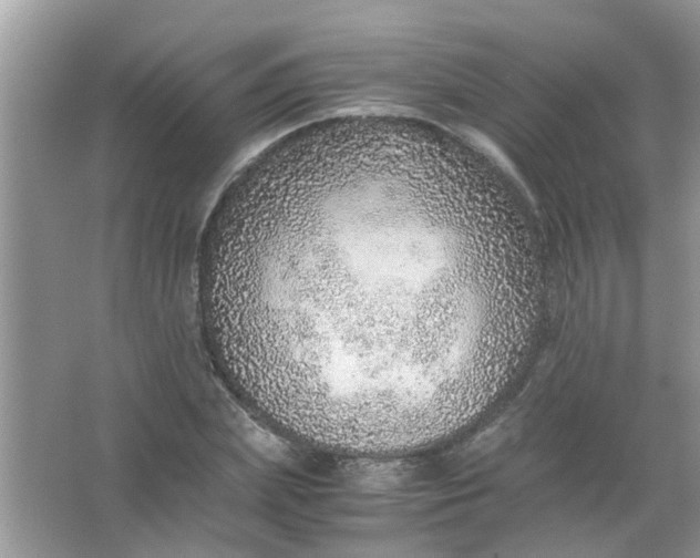 X0000067000831200604072147