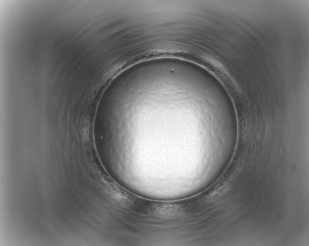 X0000067000833200604072147