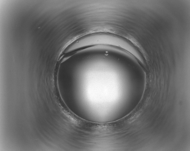 X0000067000834200604072147