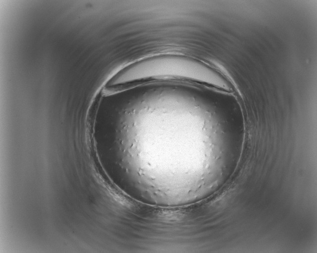 X0000067000835200604072147