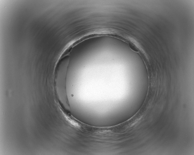 X0000067000837200604072147