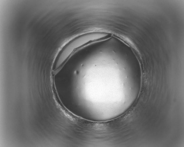 X0000067000839200604072147