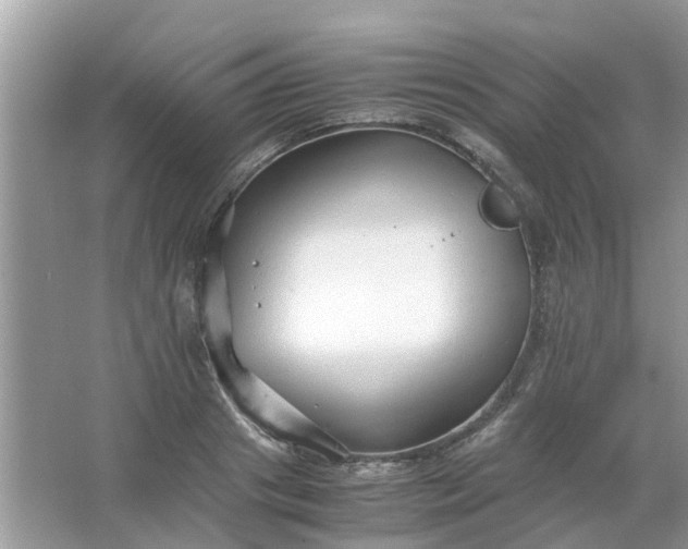 X0000067000841200604072147