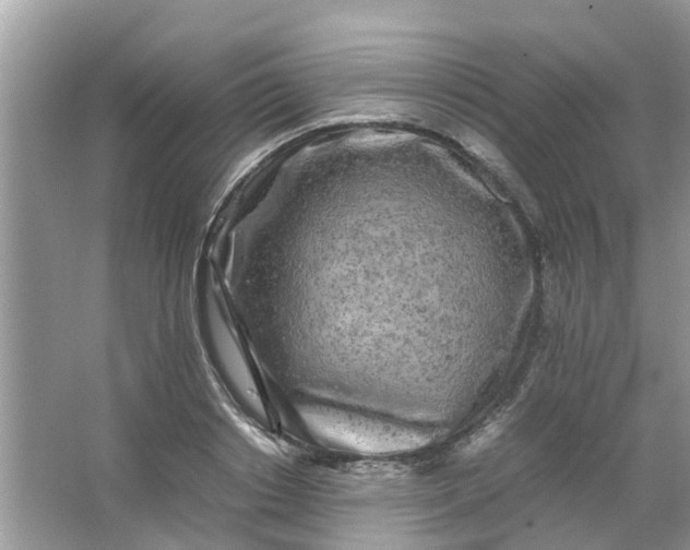 X0000067000842200604072147