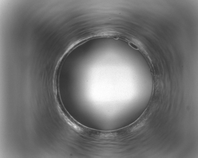 X0000067000843200604072147