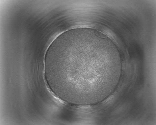 X0000067000844200604072147