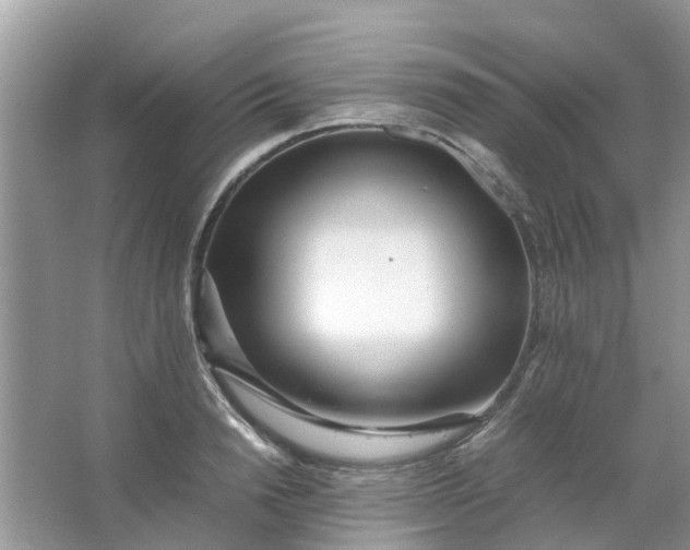 X0000067000846200604072147