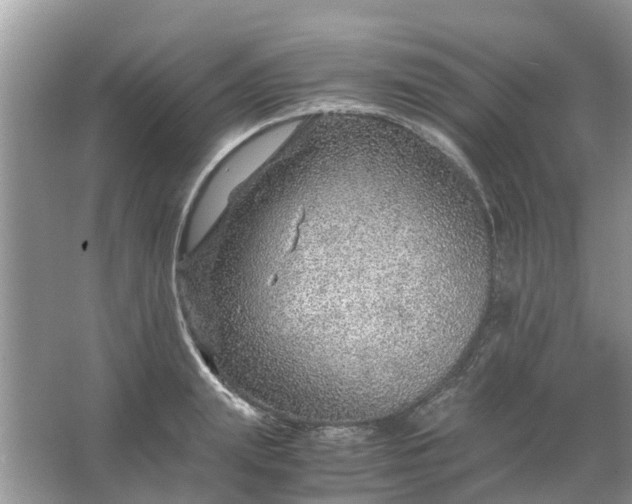 X0000067000847200604072147