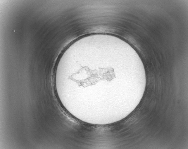 X0000067000848200604072147