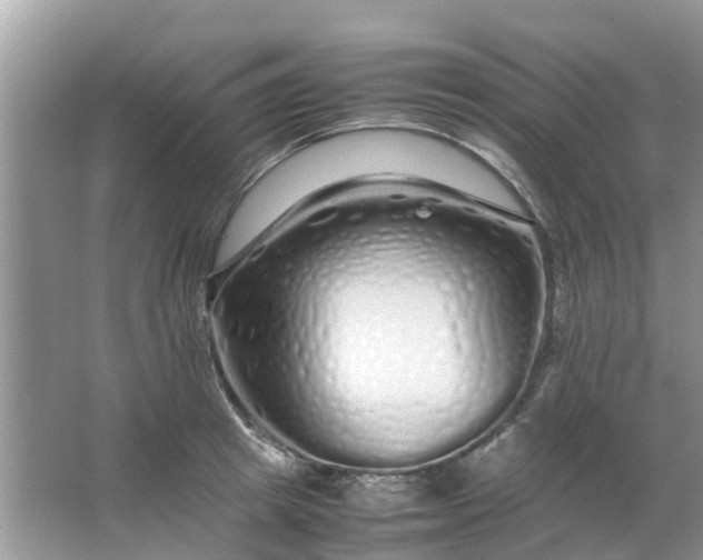 X0000067000849200604072147