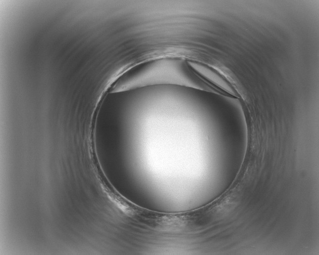 X0000067000850200604072147