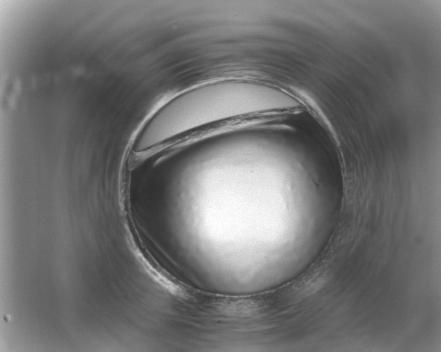 X0000067000851200604072147