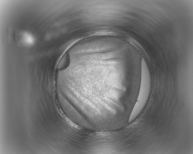 X0000067000852200604072147